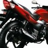 suzuki pics