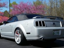 Satin Silver Mustang GT