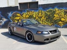 LAMustang.com mascot 2001 Mustang GT/Cobra