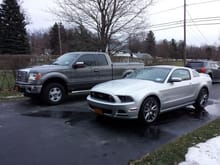 My Fords