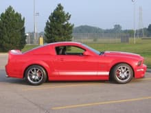 Mustang 046