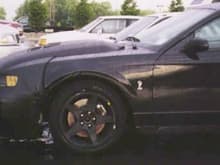 Mustang Photo Archive 1999-2004 Mustangs 2003 Mustang 2003 SVT Cobra Terminator Cobra Prototype