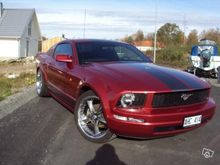 my stang