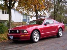 08 Mustang GT