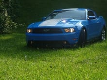 Mustang pics around town 023 [1600x1200]