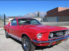 This is the closest I have ever found pictures of that were like my old '67.  Mine was less the foglights and grill emblems.  With differnt wheels and no side stripe either.