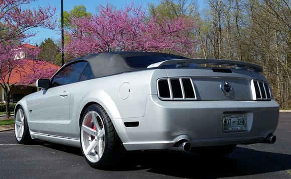 Satin Silver Mustang GT