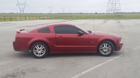 My '05 gt with 95k no mods yet still trying to figure out what to buy first I did delete the mufflers but that was just for noise lol I live in north east Arkansas and Naja (stangs name) is a daily driver I'm wanting about 400 rwhp so any advice would be appreciated.!! One more question I have all but decided to go with a SCT tuner any suggestions on which speed shop and or tunes I should go with?? Glad to meet everyone