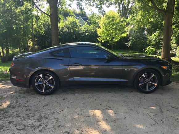 2016 Mustang GT Premium none PP.