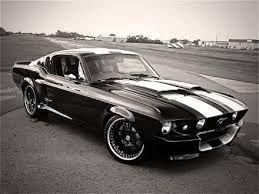 Comment 2 about black and white mustang photo