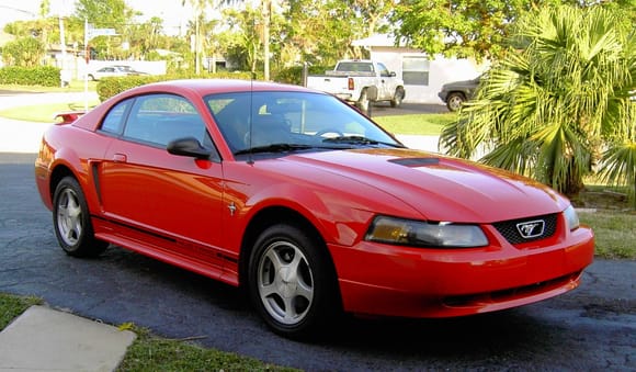 My first Mustang (2001 V6) 
