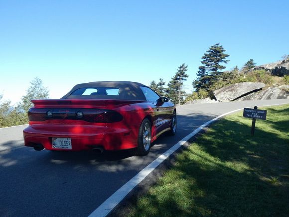 Forrest Gump curve sign.