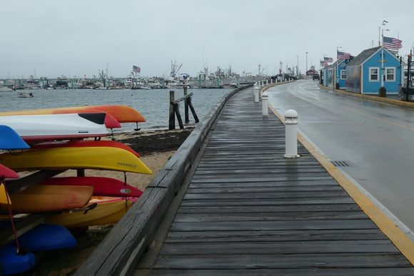 Looking out to the MacMillan pier
