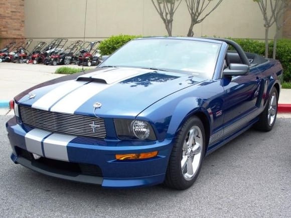 2008 shelby gt 1 287392