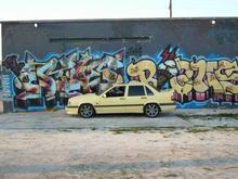 DSCI0225