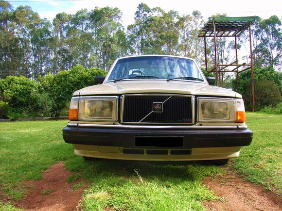 My Green 240Gl