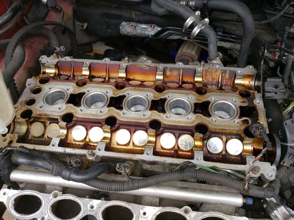 Took the cams off to make sure that all the valves were leveled. I also noticed poor baby s40 was being neglected preety bad.
