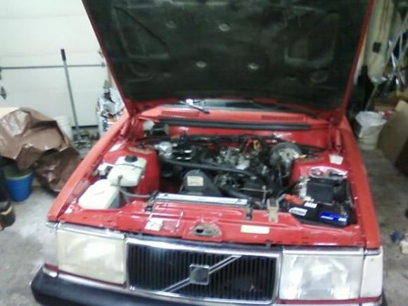 Ruby2 Got her almost ready for my mom