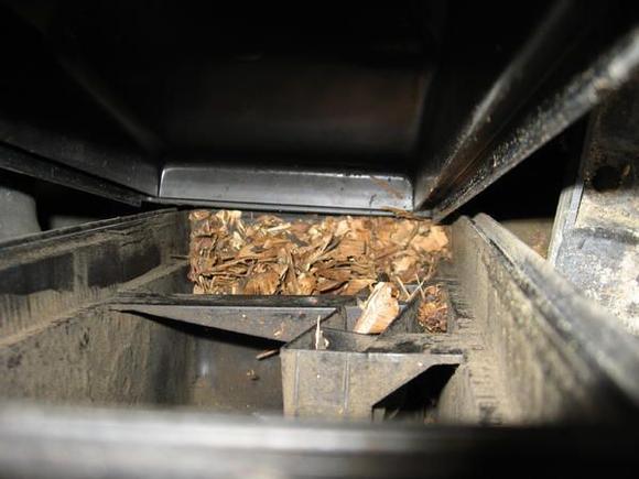 Trash in bottom of air filter box.