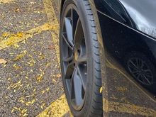 PZERO rear