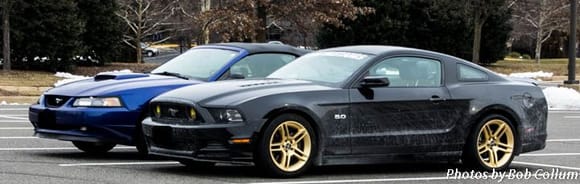 Mustangs.