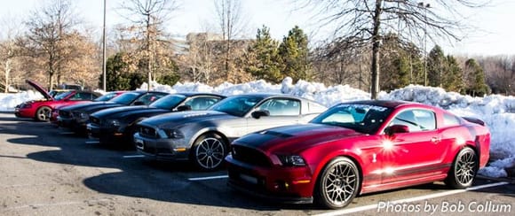 More Mustangs.