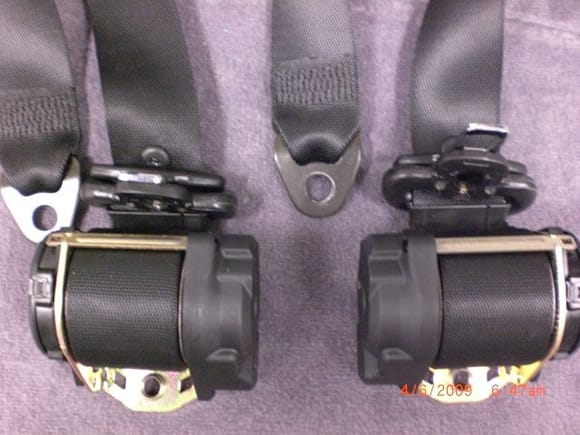 seatbelts (rear)