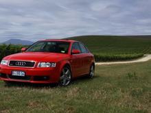 Tassie Audi