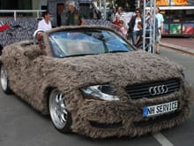http://autoorgy.com/audi-protection-against-winter/
