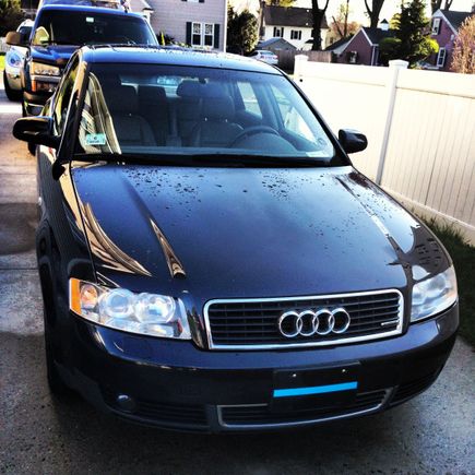 new whip
