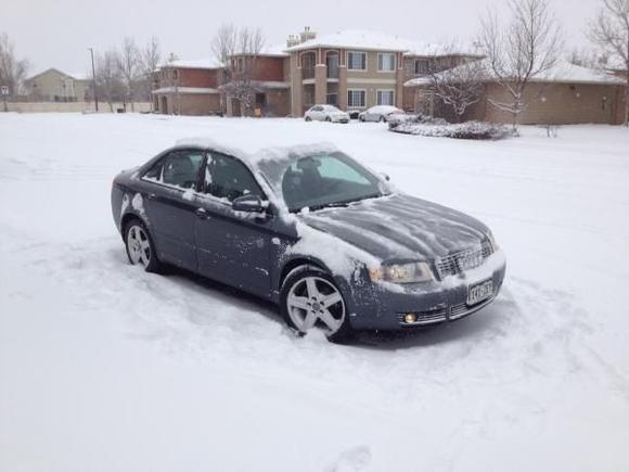 Snow Day