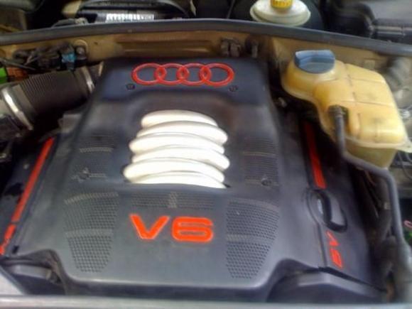 Custom painted engine compartment