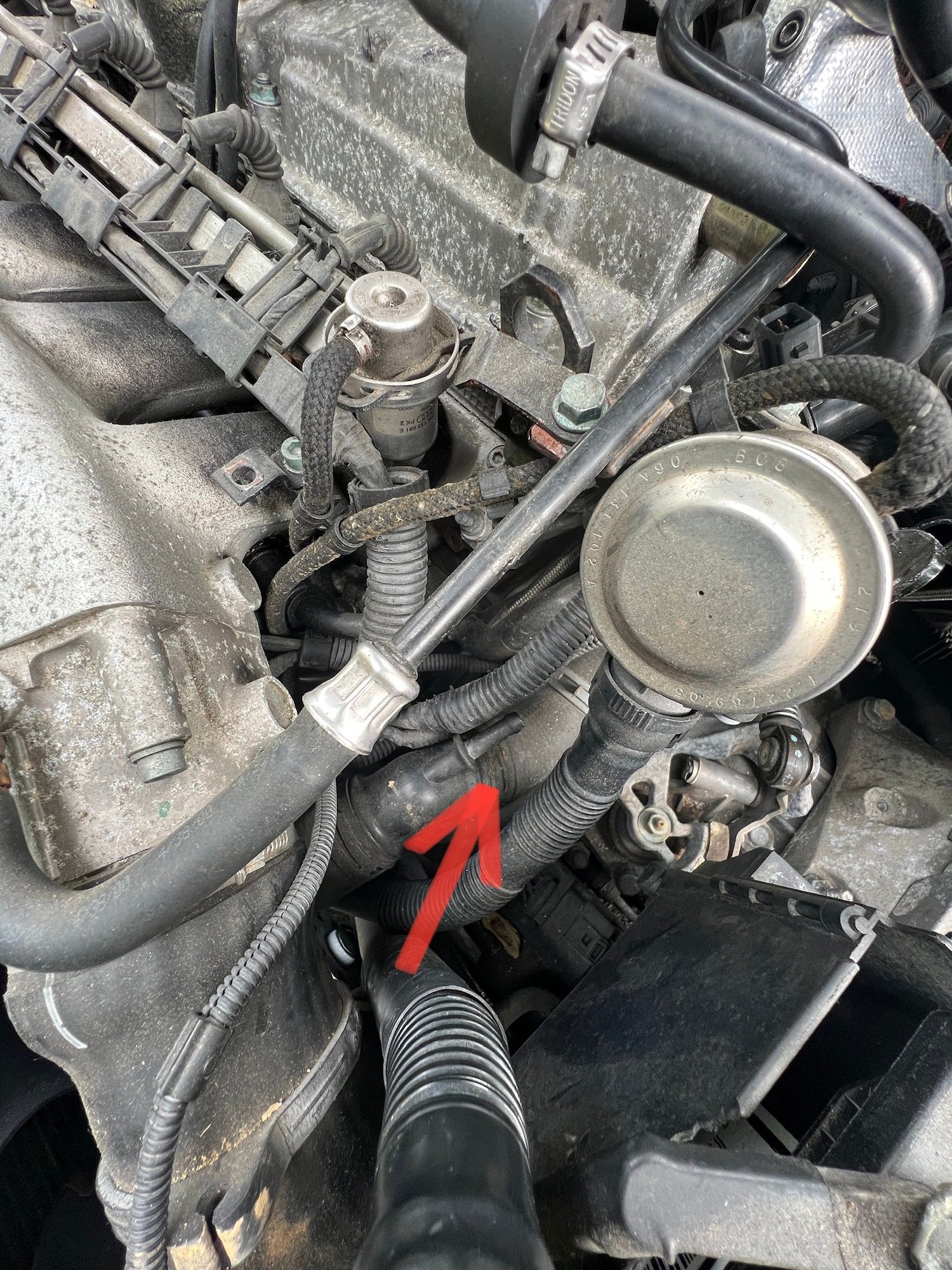 2001 Audi TT MK1 225 - New Owner - AudiWorld Forums