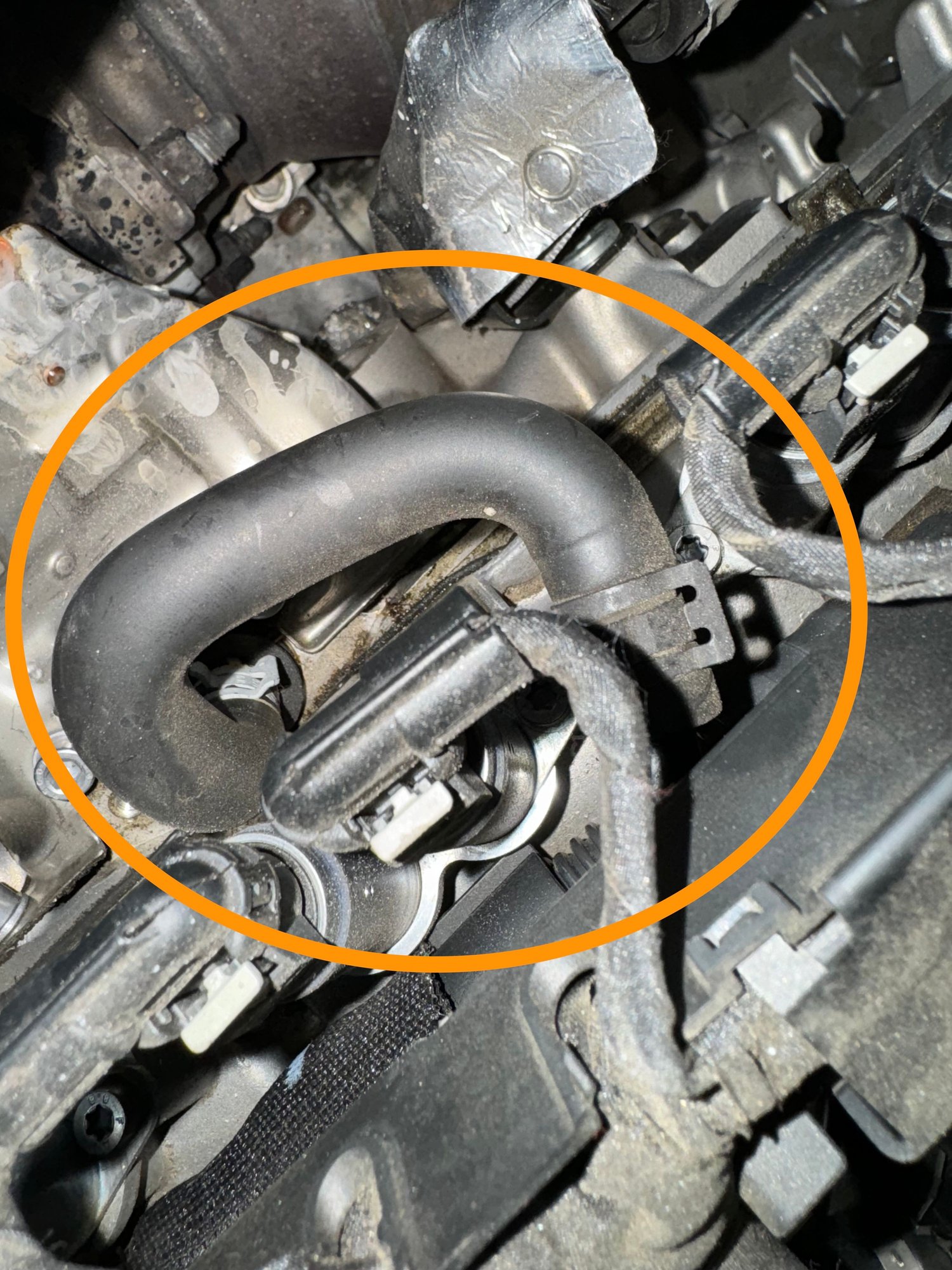 Need Help Identifying This Coolant Hose Audiworld Forums Need Help Identifying This Coolant Hose Audiworld Forums
