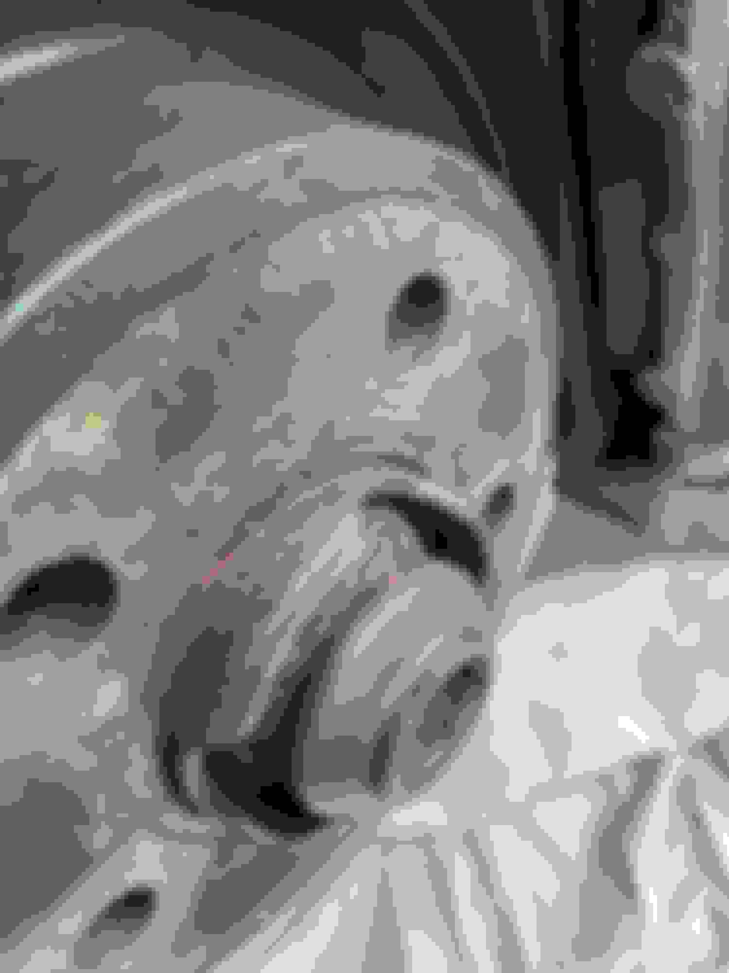 Wheel Centre Bore size AudiWorld Forums