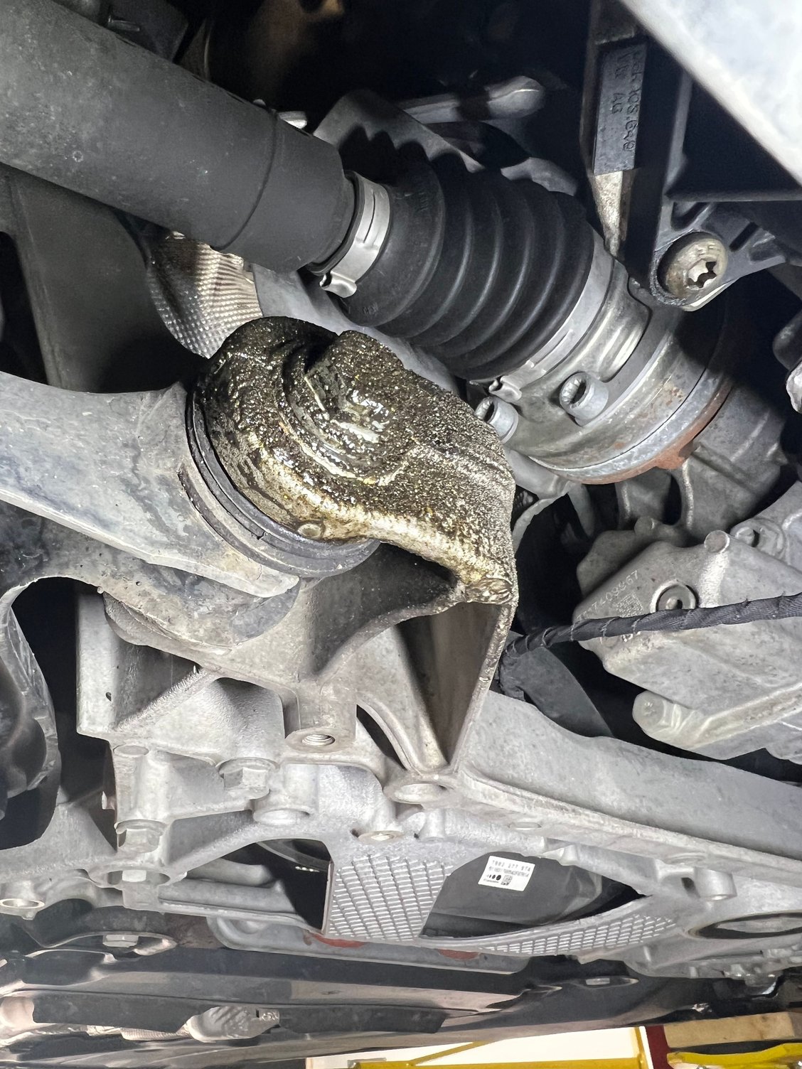 Help diagnosing oil leak AudiWorld Forums