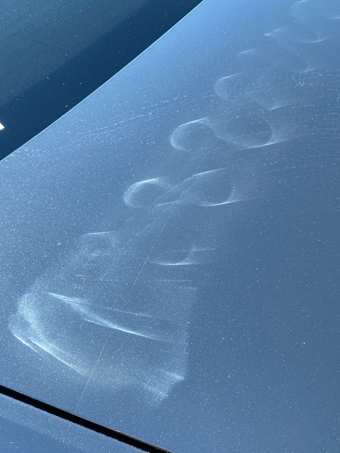 UK New Car Paint Issues AudiWorld Forums