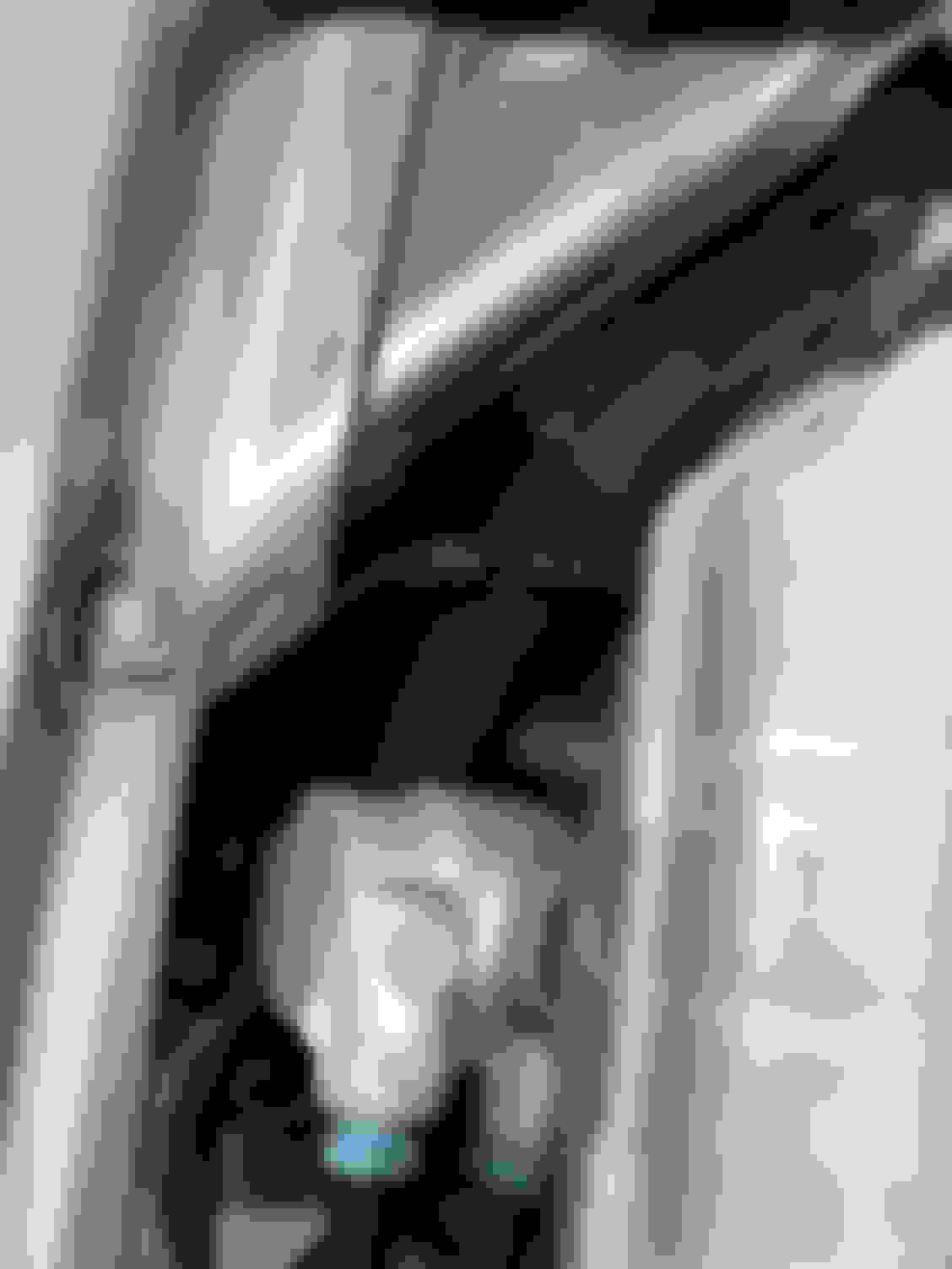 Safety Concern with 2017 Audi Q7 Brake Servo Failure Due to Rodent