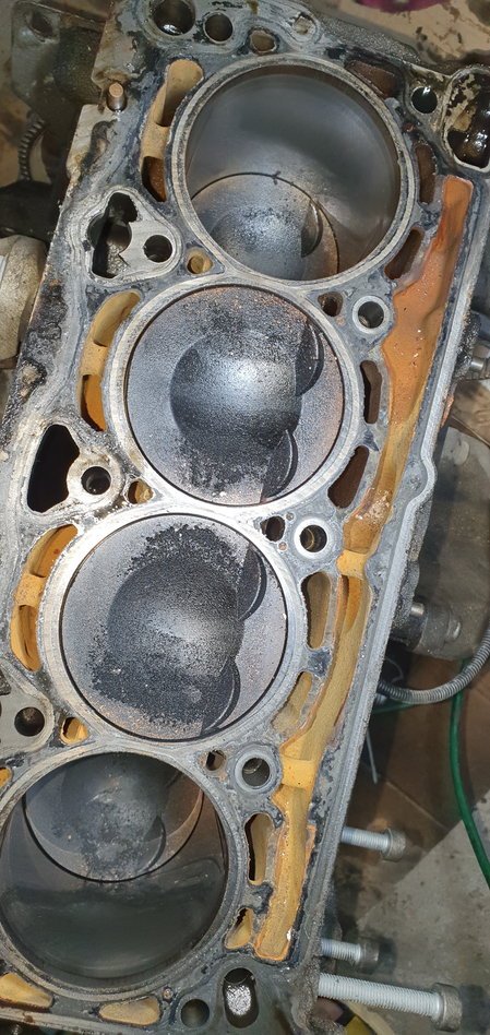 Engine Overhaul Repair Kit Piston & Ring for Audi A4 A5 TT Quattro Q5/VW  Passat | eBay