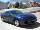Trans Am pics