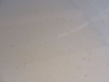 DSC01282