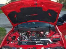 Engine and hood. Hood liner was a gift for my birthday from my fiance. (SWEET)