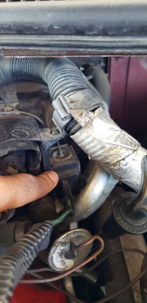 Two pin connector, and hard soldered line out the top that goes into the airbox.