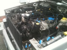 Decided to clean up the engine bay while I was at it.