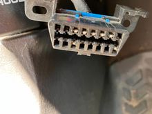 Mystery Socket ~ Has wires out the back and slots for routing with screws