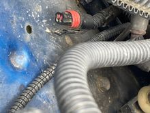 Believed jumper connection. 