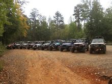 lineup
