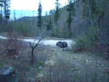 DSCN0398