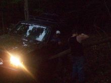 A tree hugging joshes door