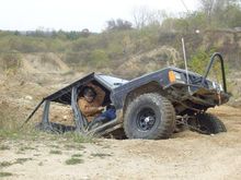 Jeeps grow from ground